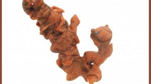 Apple Coral - Zuni Fetish Carving Material