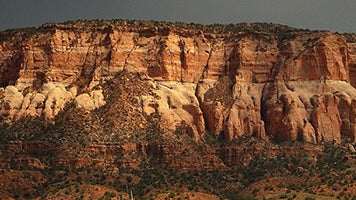 Zuni Tribe
