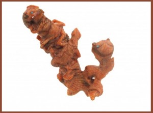 Apple Coral - Zuni Fetish Carving Material