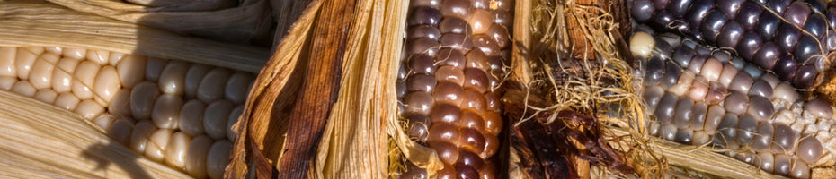 Nampeyo Hopi Tewa Pottery