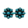 Geraldine James, Earring, Sonoran Rose Turquoise, Navajo, 1"