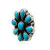 Geraldine James, Earring, Sonoran Rose Turquoise, Navajo, 1"