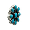 Geraldine James, Earring, Sonoran Rose Turquoise, Navajo, 1"