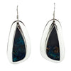 Harold Joe, Earrings, Opalized Wood, Sterling Silver, Navajo Handmade, 2"