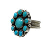 Devin Brown, Ring, Kingman Turquoise, Navajo, Adjustable, 10 1/2