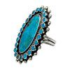 Vincent Shirley, Ring, Kingman Turquoise, Navajo, 8 1/2