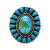 Hemerson Brown, Ring, Sonoran Gold, Red Mountain Turquoise, Navajo, 10 (adjustable)