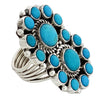 Geraldine James, Double Cluster Ring, Kingman Turquoise, Navajo Handmade, 8