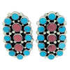 Melvin, Tiffany Jones, Earrings, Turquoise, Coral, Cluster, Navajo Made, 1 7/8"